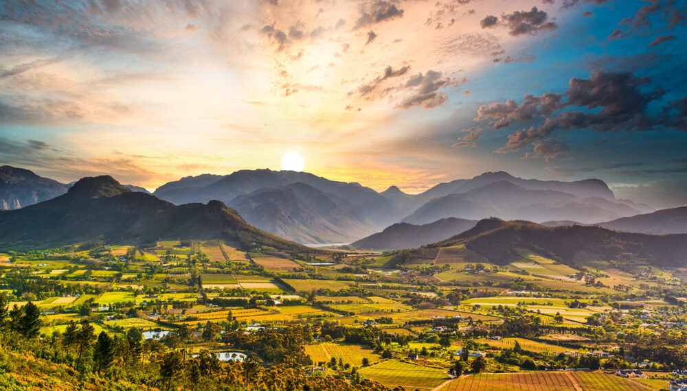 Franschhoek vineyards