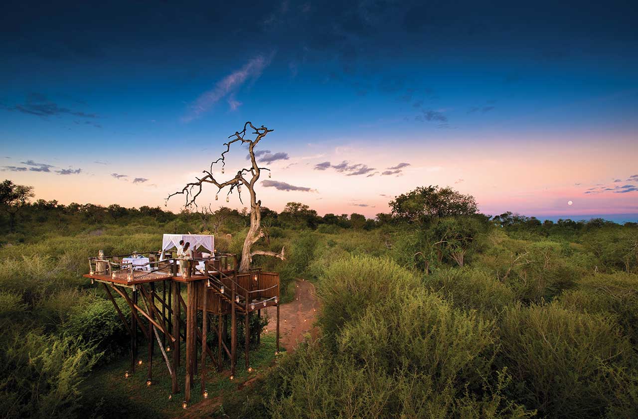 Kruger Safari luxury treehouse